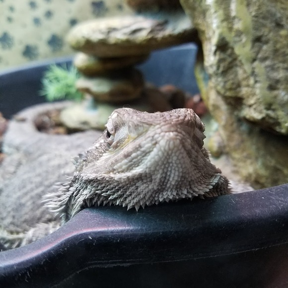 Isaiah Salsman - Poshmark Profile Picture of Isaiah Salsman (@isaiahsalsman) on Poshmark