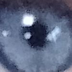 Profile Picture of Jay Stovell-Davies (@jay_stovell_davies) on Instagram