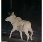 Profile Picture of David Manninen (@David-Manninen) on Facebook