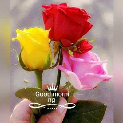 Profile Picture of Harmohan Singh (@Harmoha57365105) on Twitter