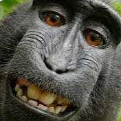 Profile Picture of Devin Watson (@DevinWatson-p2j1w) on Youtube