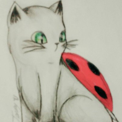 Profile Picture of Giselle Alvarado (@rosephanton) on Twitter