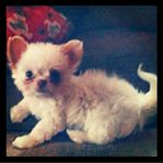 Profile Picture of Brandon Cadena (@cadenabrandon) on Instagram