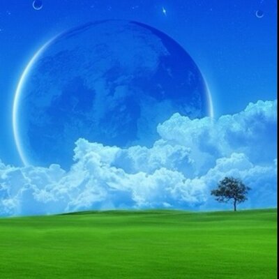 Profile Picture of The Cate (@DavidCate1) on Twitter