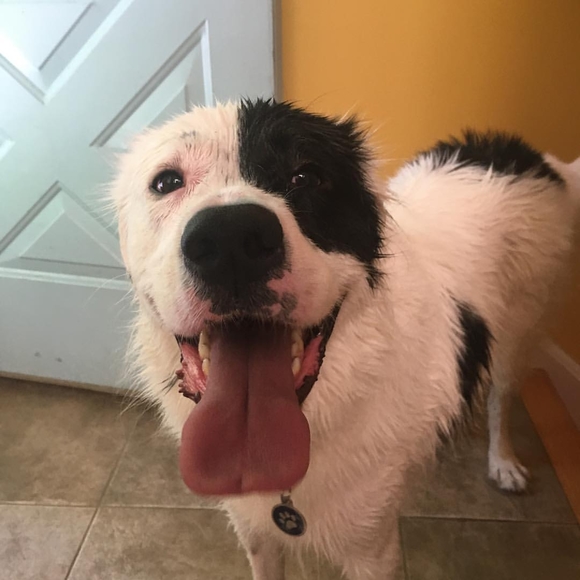 Profile Picture of Heidemarie Sheridan (@heide137) on Poshmark