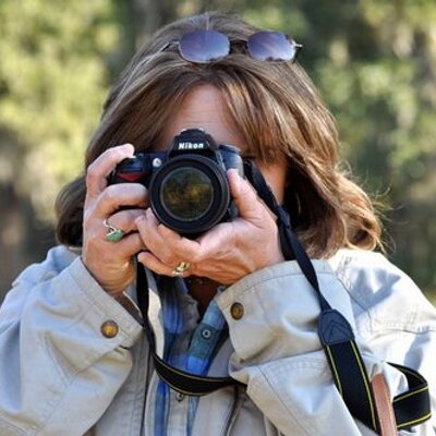 Profile Picture of Kim McKinley (@KimPhoto1) on Twitter