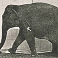 Profile Picture of Makayla Ryan (@makayla-ryan) on Quora