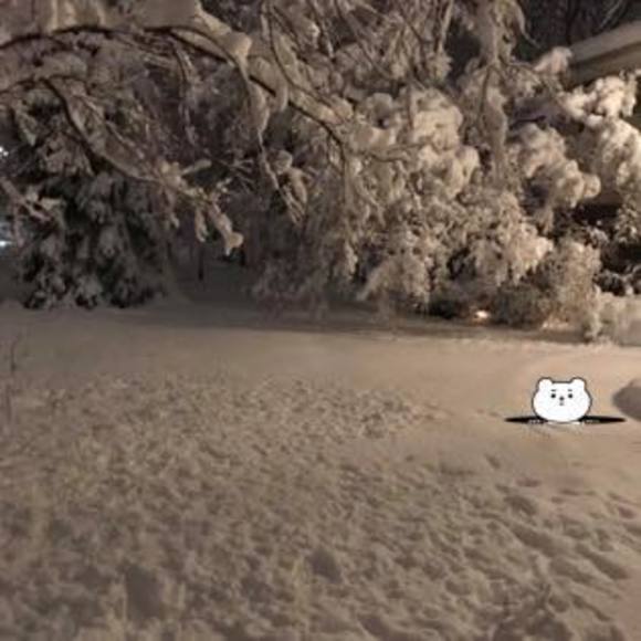 Profile Picture of Glenda norseth Gomez (@julio5051) on Poshmark