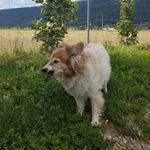 Profile Picture of Kurt Metzger (@wisi1kmm) on Instagram