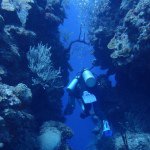 Profile Picture of Anna-Isabel Weterings (@dolfijnanna) on Instagram