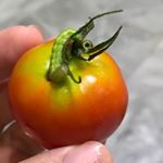 Profile Picture of Edward Rusli (@edward.p.rusli) on Instagram