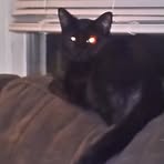 Profile Picture of David Bowman (@wendy.bowman.606821) on Facebook