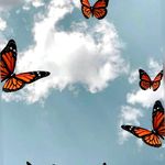 Profile Picture of Donna Cameron (@donna.l.cameron) on Instagram