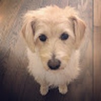 Profile Picture of Alexandra Farrell (@alexandra-farrell-16) on Quora