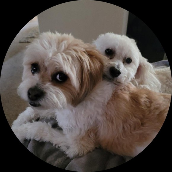 Profile Picture of Lee Plotkin (@lvmediaboy) on Poshmark
