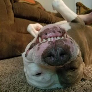 Profile Picture of Chris Holifield (@chris.holifield.92) on Facebook
