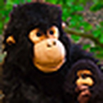 Profile Picture of Peter Thomas (@monkeyinc1) on Flickr