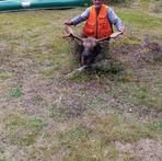 Profile Picture of René Lessard (@René-Lessard) on Facebook