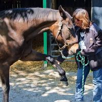 Profile Picture of Ann Ashcraft Cheek (@ann-ashcraft-cheek) on Quora