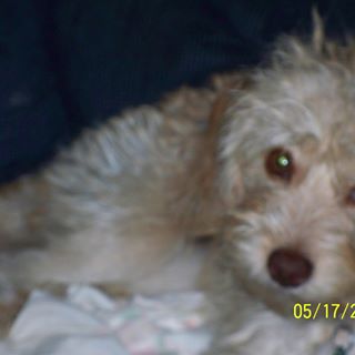 Profile Picture of Lynette Keiser (@lynette.keiser.3) on Facebook