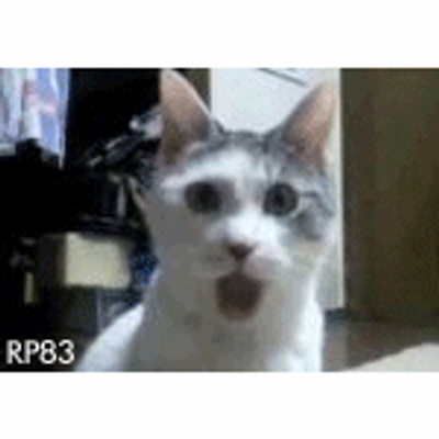 Profile Picture of Richard Prowse (@richardaprowse) on Twitter