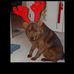 Profile Picture of Huey Lee (@huey.lee.9003) on Facebook