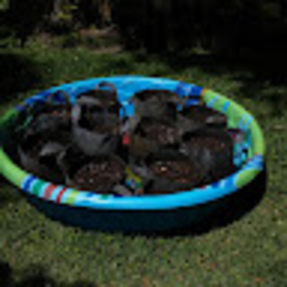 Profile Picture of David Black (@davidblack139) on Poshmark