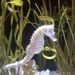 Profile Picture of Crystal Pugh (@froglilies) on Pinterest
