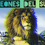 Profile Picture of Leones Delsur (@joseph_lizarraga_leon_del_sur) on Instagram