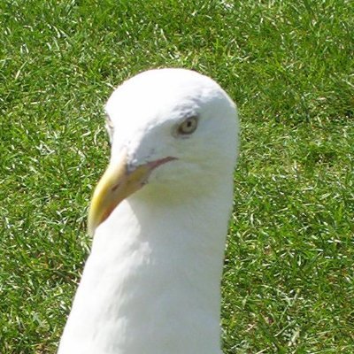 Profile Picture of Dave Tombs (@TombsDave) on Twitter