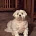 Profile Picture of Jon Eggert (@jon.eggert.545) on Facebook