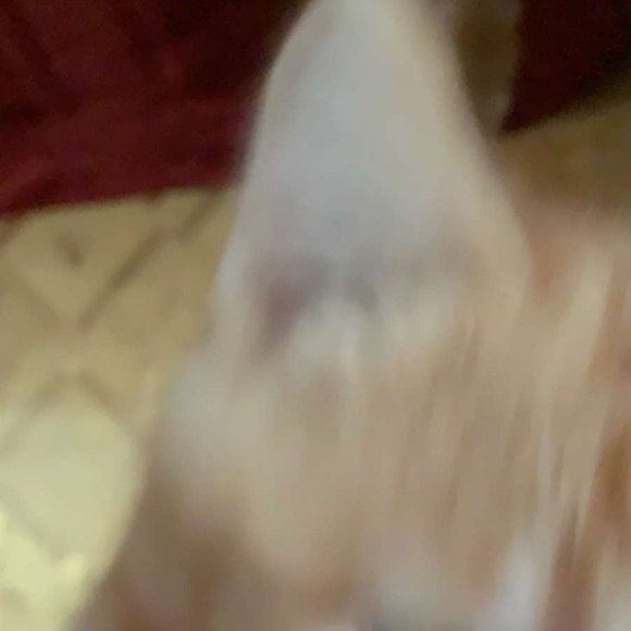 Profile Picture of Jamie Loeber (@4jami3) on Poshmark