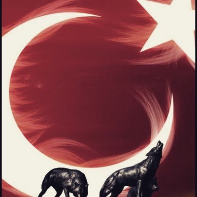 Profile Picture of Sessiz (@halil_oguzoglu) on Twitter