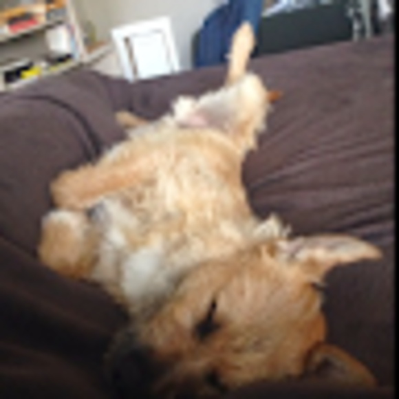 Profile Picture of Paul Boucher (@paul_boucher) on Poshmark