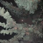 Profile Picture of Krystel Azzam (@krystel.azzam) on Instagram