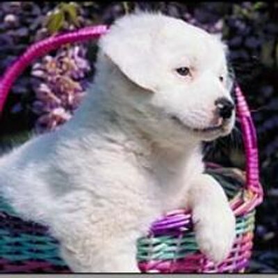 Profile Picture of Bailey Donahue (@LuvHarryStyle) on Twitter