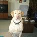 Profile Picture of Larry Fickel (@larry.fickel.1) on Facebook