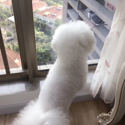 Profile Picture of Mandy GAN (@MandyGAN10) on Twitter