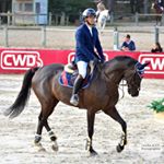 Profile Picture of Tony Di Mascio 🇮🇹 (@toto_dmsc) on Instagram