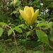 Profile Picture of Mary Coakwell-D'Attilio (@marydat) on Pinterest