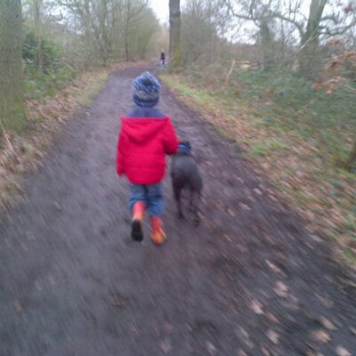 Profile Picture of Tracey Cormack (@cormacktrc) on Twitter