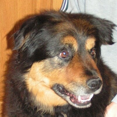 Profile Picture of Paul Carrano (@PCarrano66) on Twitter