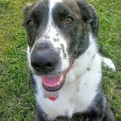 Profile Picture of Carl Harris (@carlharris4420) on Youtube