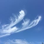 Profile Picture of haydendunham8317 (@haydendunham8317) on Instagram