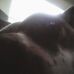 Profile Picture of Matthew Garrison (@matthew.garrison.7547) on Facebook
