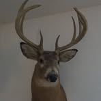 Profile Picture of Gary Wegener (@gary.wegener.37) on Facebook
