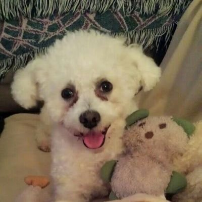 Profile Picture of Harold McClain (@McclainHarold) on Twitter