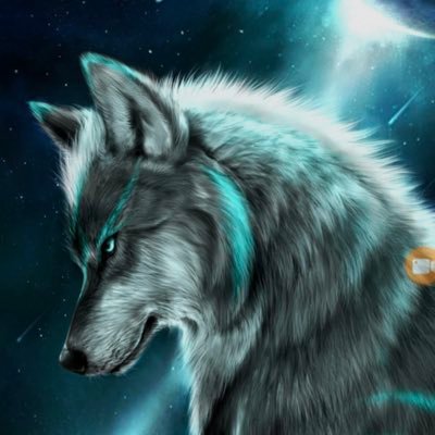 Profile Picture of Agent Wolf 7 (@MatthewBrann117) on Twitter