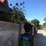 Profile Picture of Nick Nygel Rabe (@nix.dump.416796) on Facebook