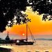 Profile Picture of Senay Ozalp (@ozalpsenay) on Pinterest